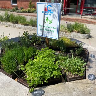 Ein kreisrunder, hölzerner
                           Kräutergarten auf dem Gelände des Ostseecamps Seeblick. In verschiedenen Segmenten wachsen frische Küchenkräuter wie Petersilie,
                           Schnittlauch und Rucola, beschriftet mit kleinen Schiefertafeln. In der Mitte steht ein Schild mit der Aufschrift „Frische
                           Kräuter zur Selbstbedienung“.