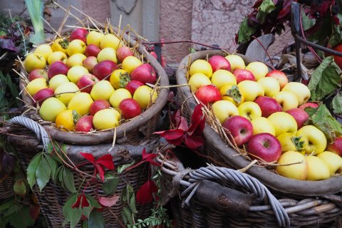 Südtirol Apfel