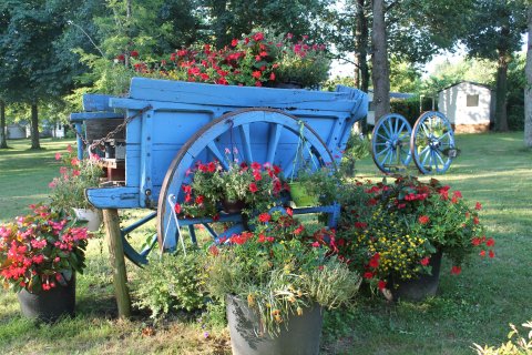 Farbenpracht auf dem Campingplatz Séquuoia Park in Saint-Just-Luzac.