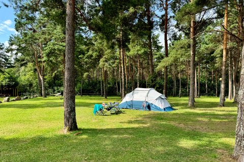 Camping Tehumardi Zeltwiese