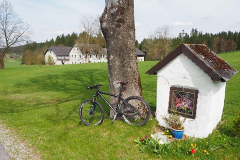 Stoablo, Hütte auf eine grüne Wiese