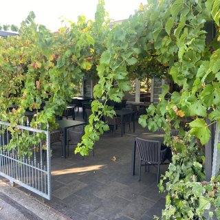 Ein leicht geöffnetes,
                           hellgraues Metalltor im Vordergrund führt auf eine einladende Restaurantterrasse. Die Terrasse ist mit dunklen, quadratischen
                           Tischen und passenden grauen Stühlen mit geflochtenen Lehnen ausgestattet. Ein dichtes, natürliches Dach aus saftig grünen
                           Weinreben rankt sich über eine Konstruktion und spendet der gesamten Sitzfläche Schatten. Der Boden ist mit dunklen, rechteckigen
                           Steinplatten ausgelegt. Im Hintergrund ist die mit Natursteinen verkleidete Fassade des Gebäudes zu erkennen.