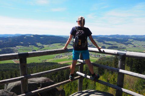 Böhmerwald