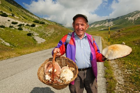 Dieser Pilzsucher wurde am Straßenrand
                           des Campo Imperatores fündig.