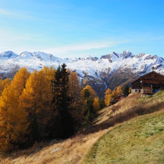 Ötztaler Berglandschaft mit goldenen Lärchen, Almgebäuden
                           und verschneiten Gipfeln.