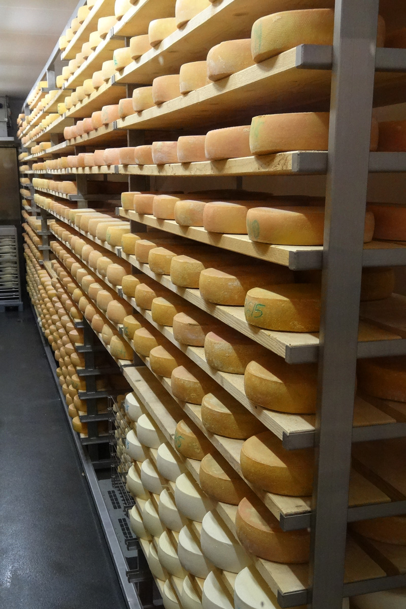 Den besten Käse findet man im Kaslab’n in Radenthein.