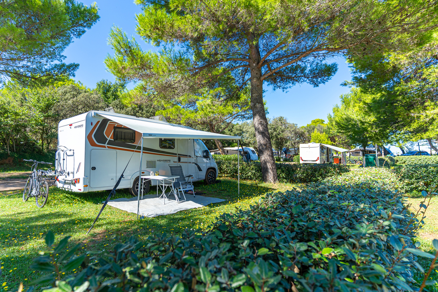parzellierter Stellplatz auf grünem Rasen unter Pinien und strahlend blauem Himmel 