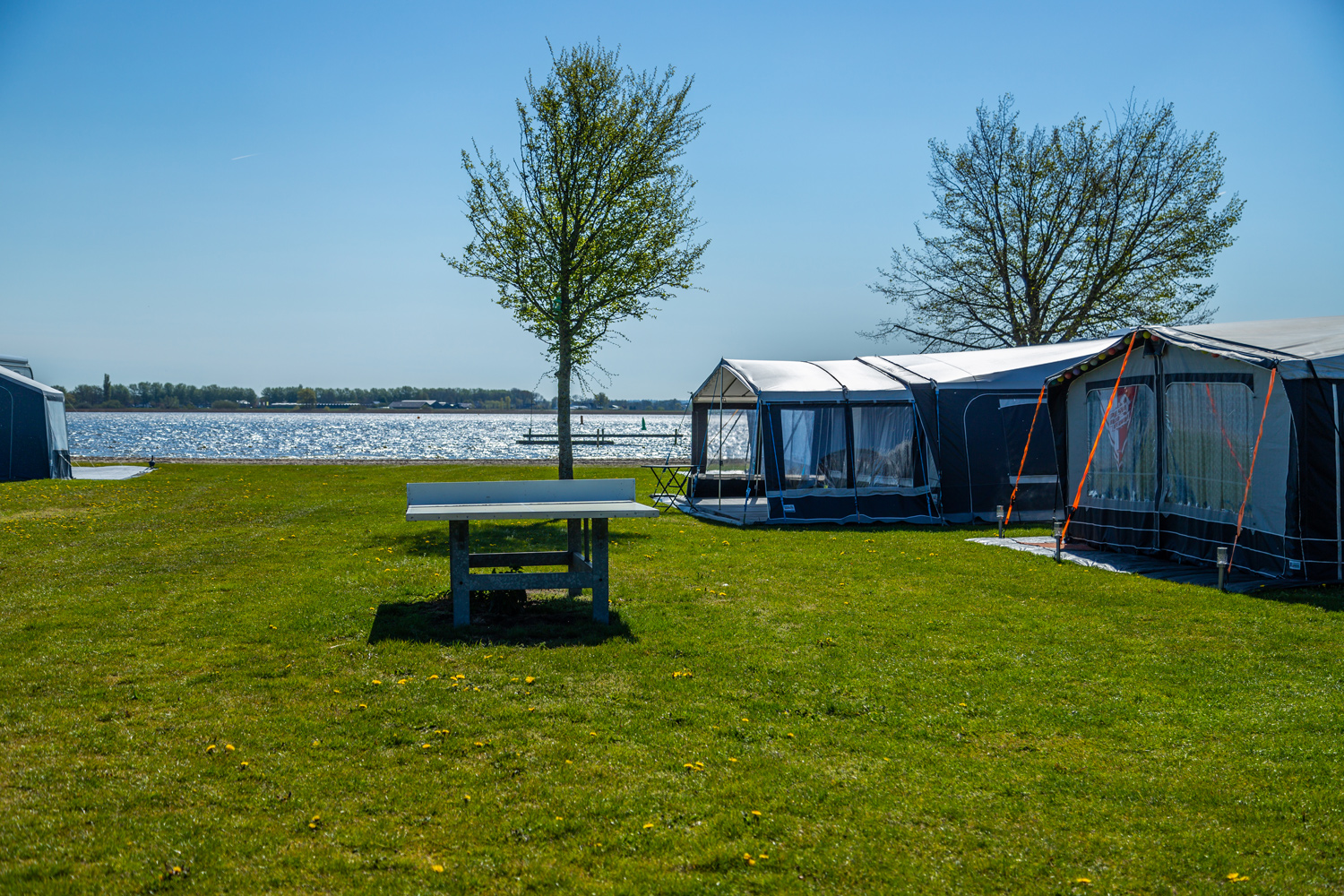 Tischtennistisch, Bäume und zwei Zelte auf einer Wiese direkt am Wasser auf dem Campingplatz Europarcs Zuiderzee
                                 in Niederlande. 