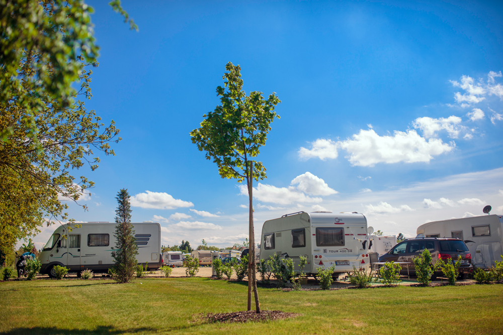 Mit Wohnmobilen und Wohnwägen belegte Stellplätze des JUFA Vulkan Thermen
                                 Camping mit Wiese und Baum im Vordergrund und blauen Himmel im Hintergrund.