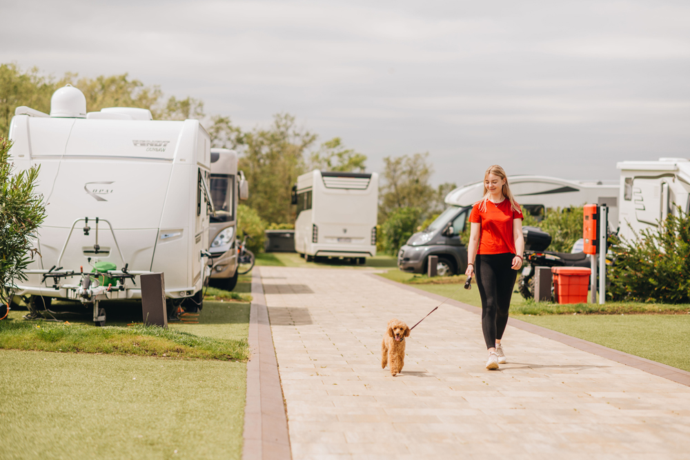 Frau beim Spazieren mit ihrem Hund durch das San Servolo Resort in Kroatien. Links und rechts vom Weg stehen Wohnmobile
und ein Wohnwagen.