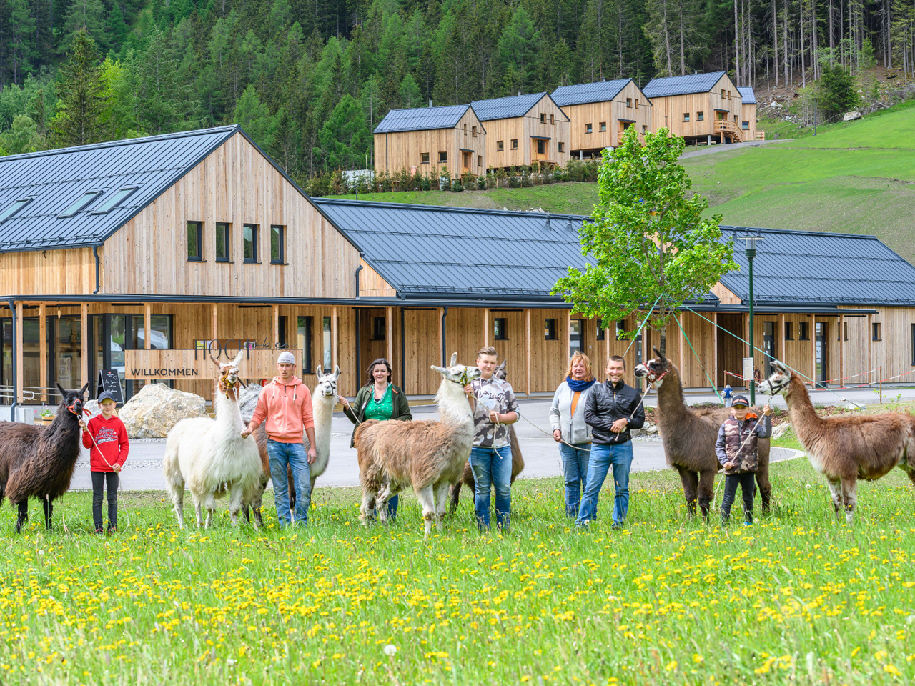 Menschen, welche jeweils mit einem Alpaka an der Leine vor dem Willkommensschild + Haus von Camping
                           HOCHoben stehen.